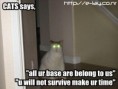/album/juokingi-paveiks-/alien-cat-e-lay-co-nr-jpg/